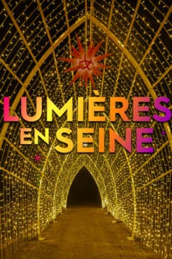 Lumières en Seine : le parcours illuminé et musical des fêtes de fin d’année